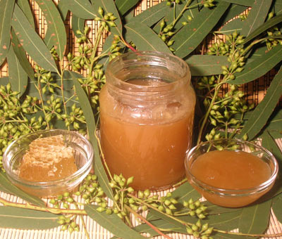 miel de eucalipto en envase de vidiro