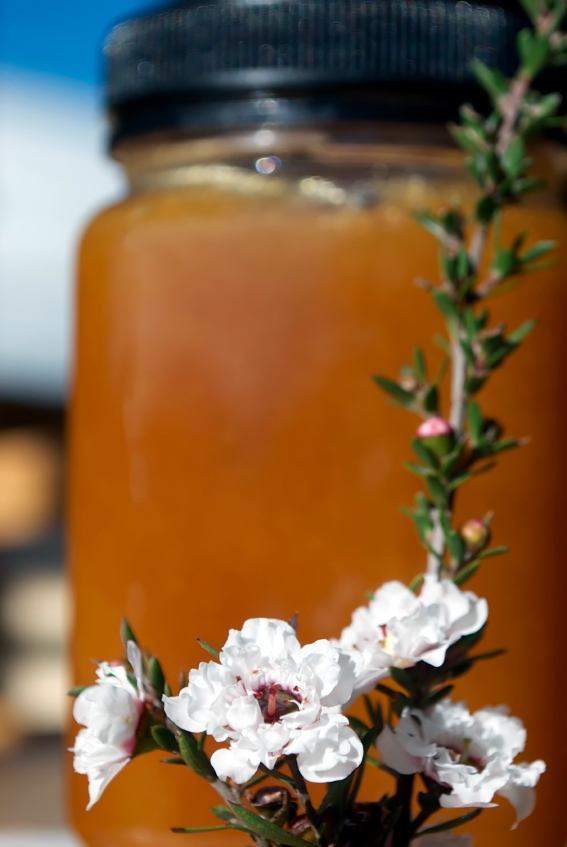 miel de manuka en recipiente de vidrio y flor